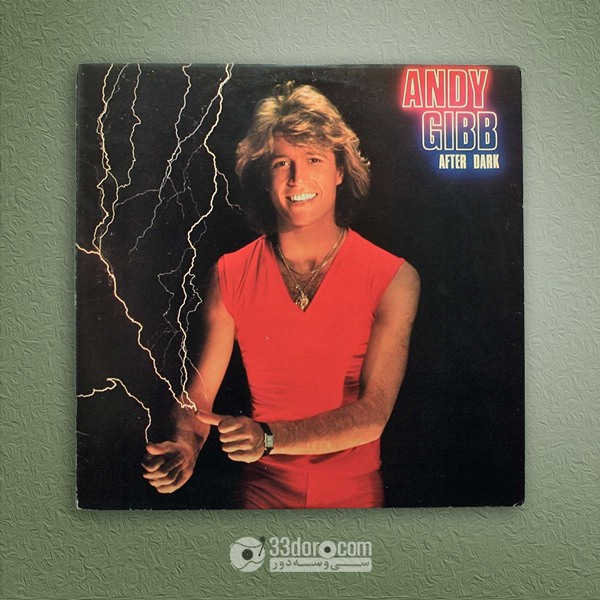  صفحه گرام اندی گیب Andy Gibb – After Dark 
